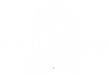 Guild Wars 2 logo